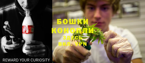 прущие грибы Липки