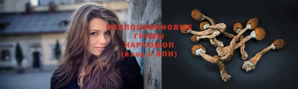 спиды Лиски