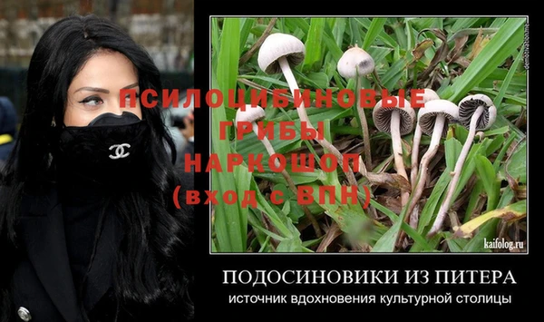 прущие грибы Липки