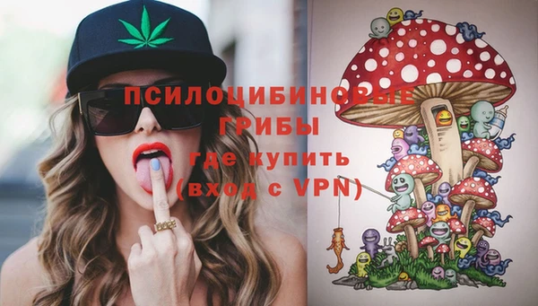 прущие грибы Липки