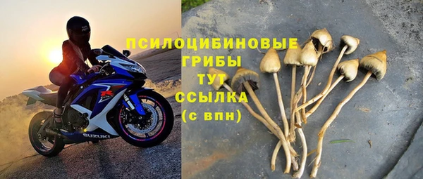 мдпв Лихославль