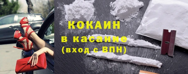 прущие грибы Липки