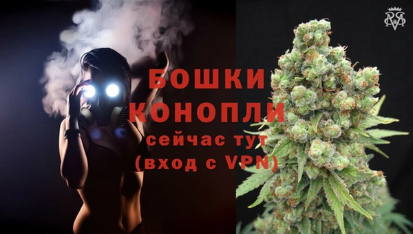 прущие грибы Липки