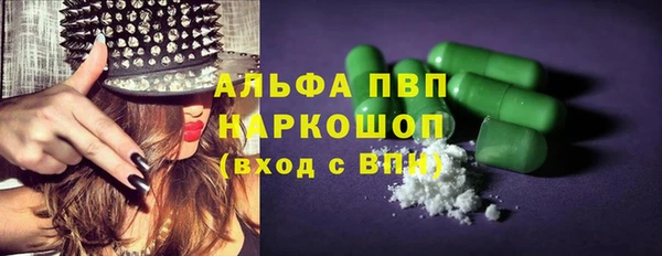 прущие грибы Липки