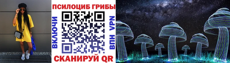 Купить  Суздаль  Галлюциногенные грибы Psilocybe 